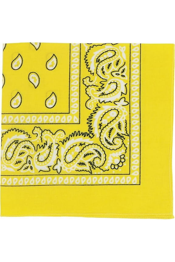 22 Inch Cotton Paisley Bandana