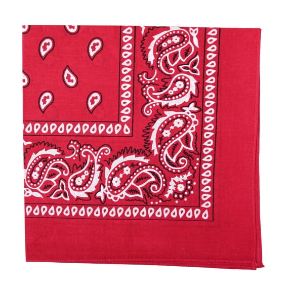 Motique Accessories 22 Inch Cotton Paisley Bandana