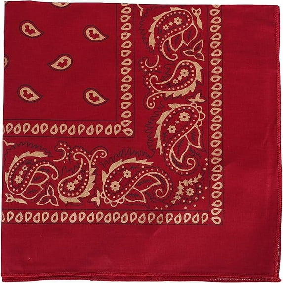 Motique Accessories 22 inch Cotton Paisley Bandana