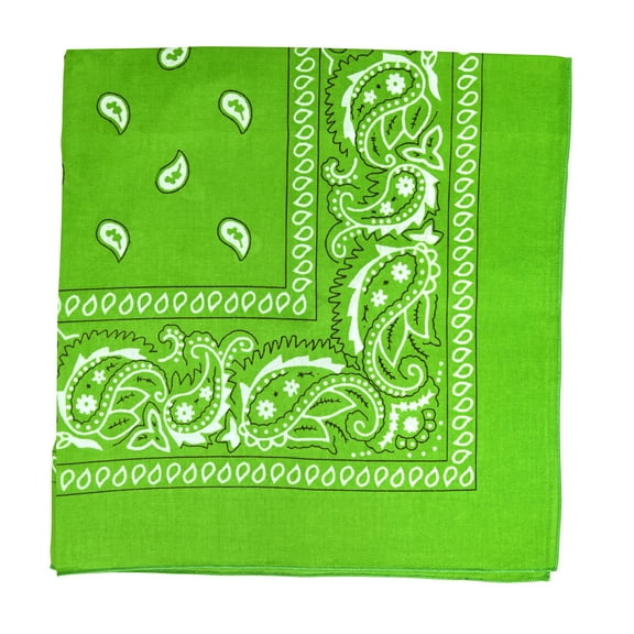 Motique Accessories Extra Large Paisley Bandana 27x27 Inch