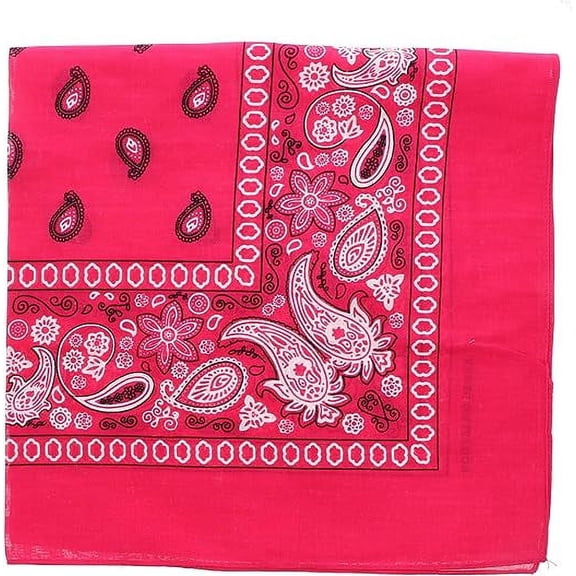 Motique Accessories Extra Large Paisley Bandana 27x27 Inch