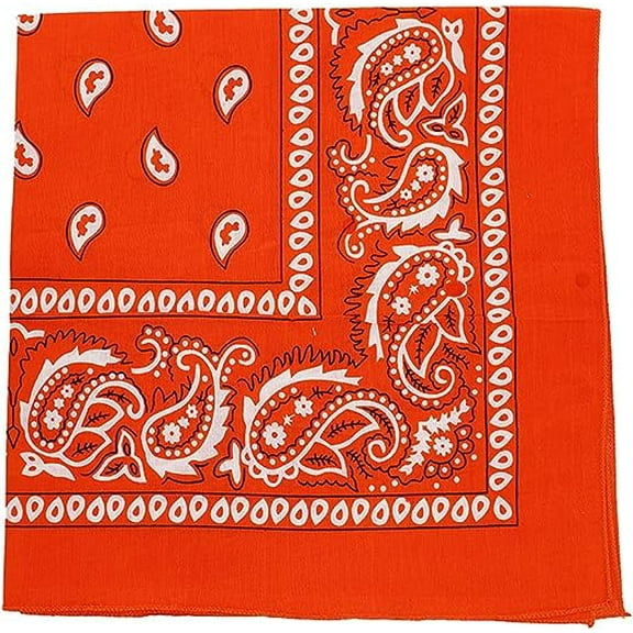 Motique Accessories Extra Large Paisley Bandana 27x27 Inch