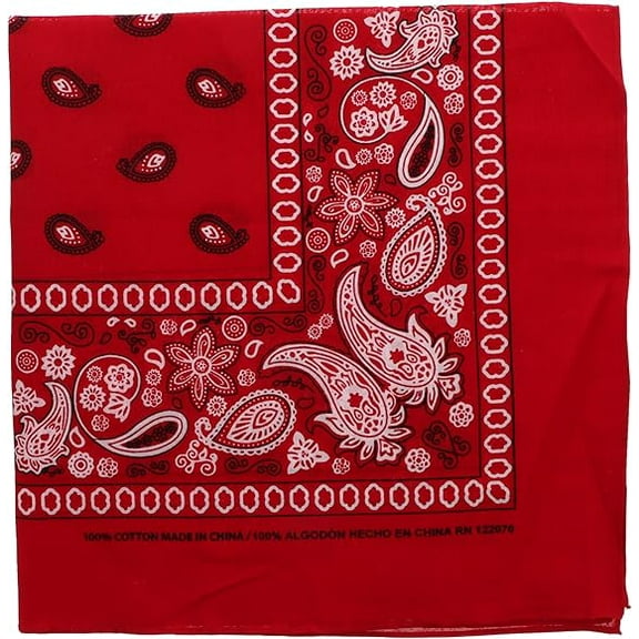 Motique Accessories Extra Large Paisley Bandana 27x27 Inch