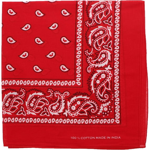 Motique Accessories Large Paisley Bandana 27x27 inch - Cardinal Red