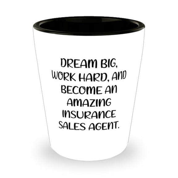 Motivational Insurance sales agent Shot Glass, DREAM BIG, WORK HARD, Present For Men Women, Inspirational Gifts From Friends