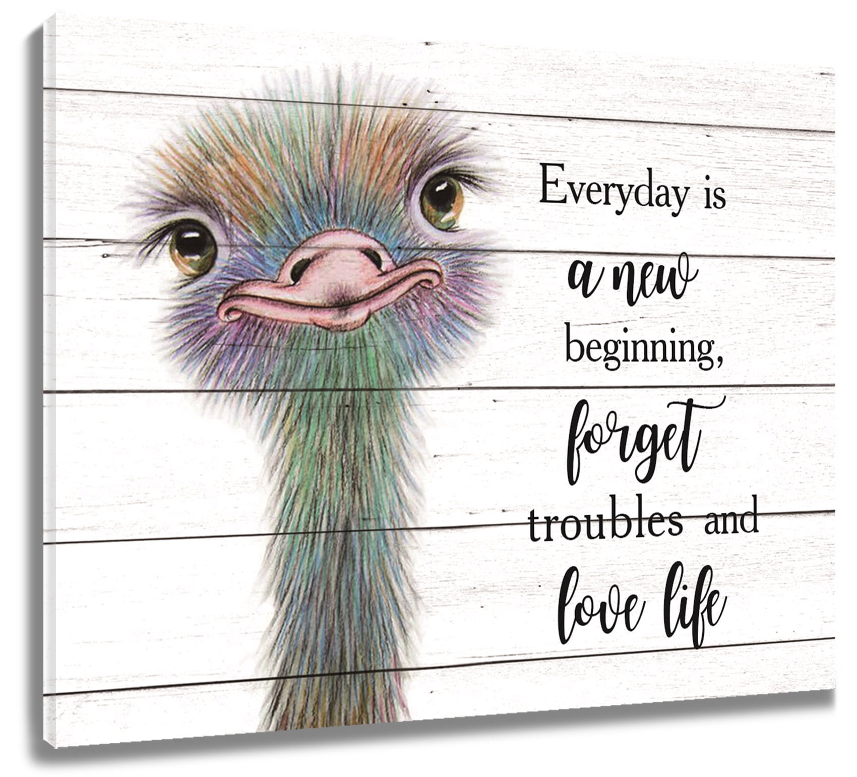 Motivational Ostrich Wall Art, Pretty Bird and Inspirational Quote Canvas  Wall Art, Animal Picture Framed Wall Art for Living Room Bathroom Bedroom  Kitchen Ready to Hang, 10X8 Inches - Walmart.com, image size:1700x1541
