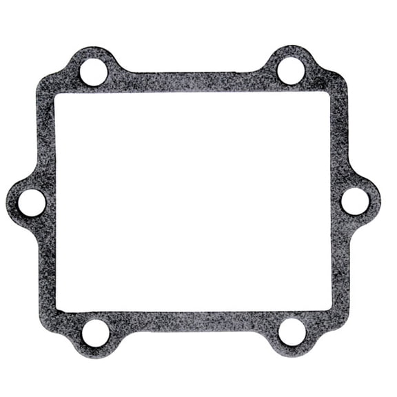 Moto Tassinari G304 Replacement Gasket for Delta 3 Reed replacement valve