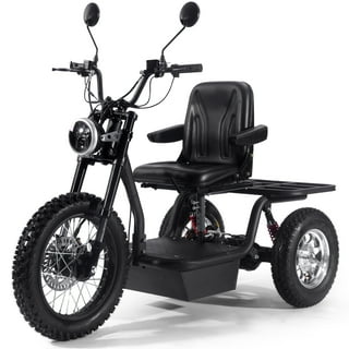 Gas tricycle sale