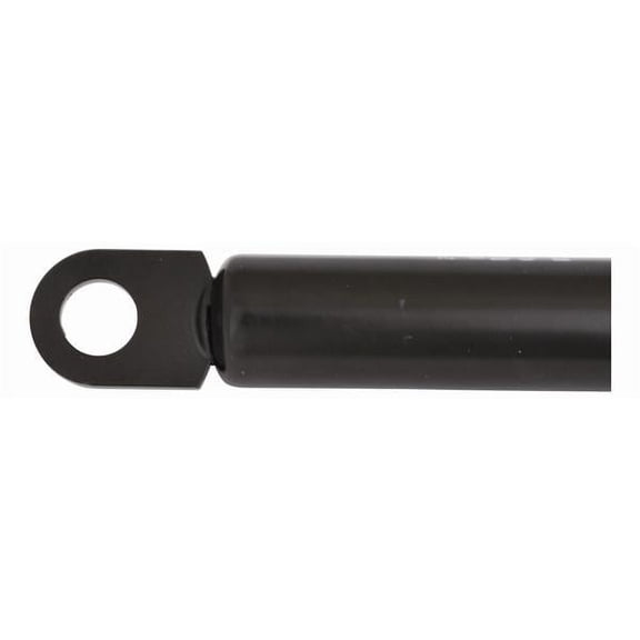 MotorGuide SL29601 Gs Sprng 36'x21'c60#13mm