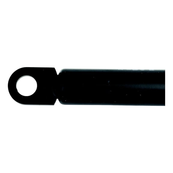 MotorGuide SL3301 Gs Sprng 20'x 12' C 30#bl