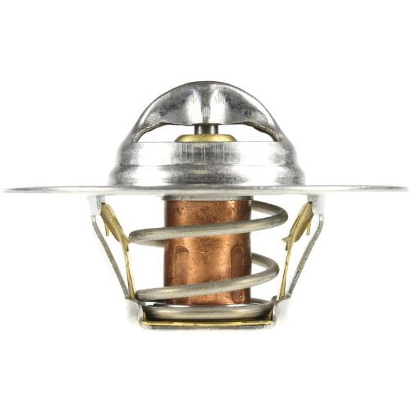 Motorad 7206-180 Failsafe Thermostat Fits select: 1966-1967 FORD F100, 1968-1969 PLYMOUTH SATTELITE