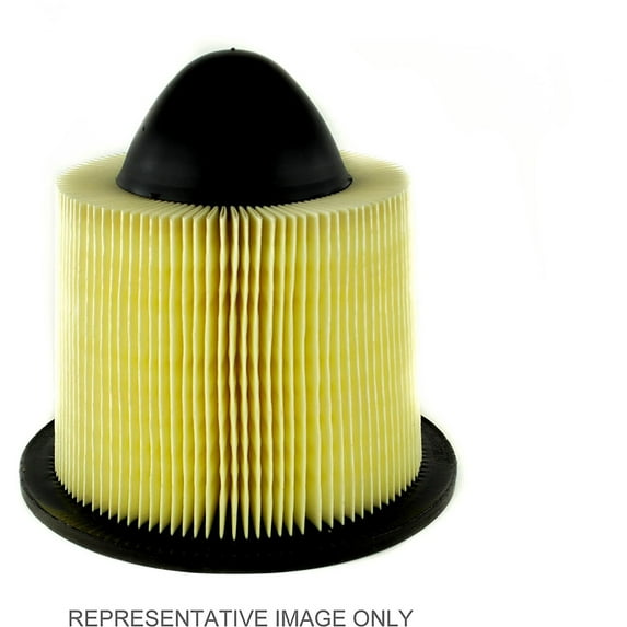 Motorcraft Air Filter Assembly, MTCFA1122