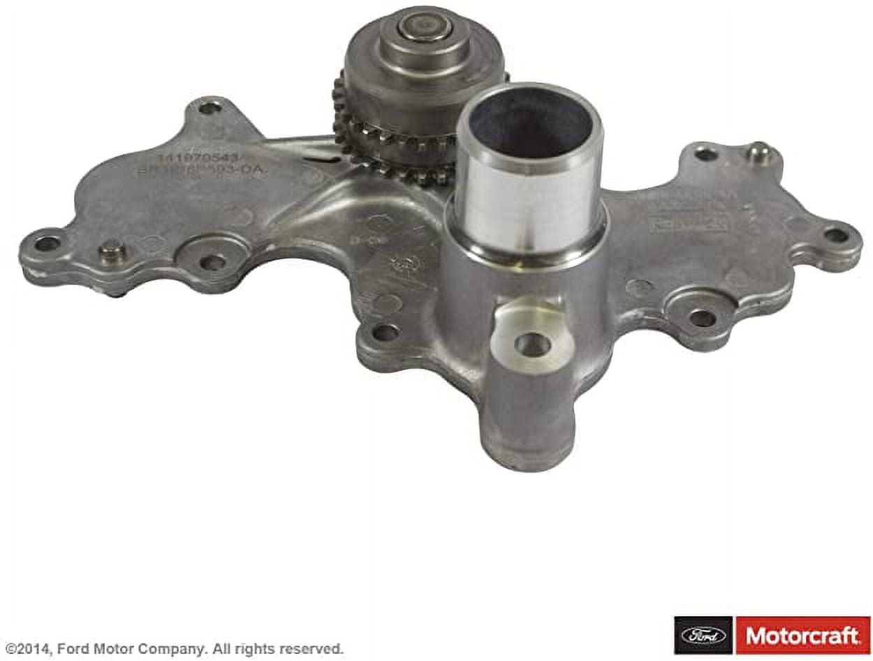 Motorcraft Engine Water Pump Pulley Bolt Cover PW-532 Fits select: 2012-2023 FORD F150, 2015-2017 FORD EXPEDITION