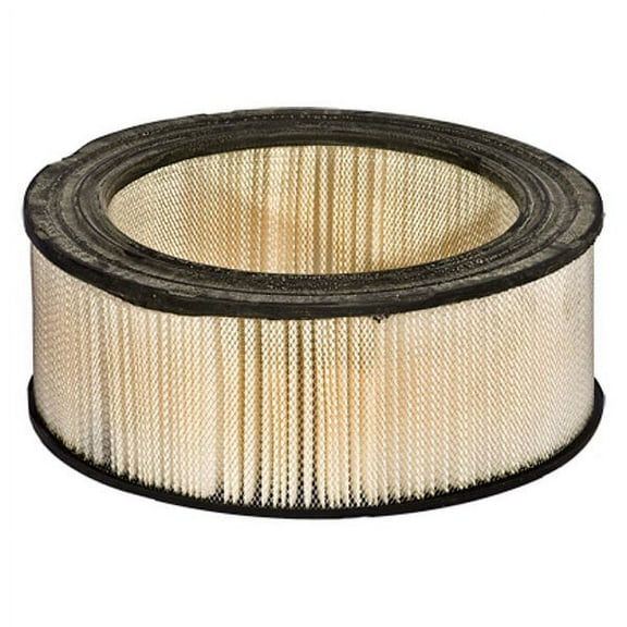 Motorcraft FA-1079 Air Filter Fits select: 1992-1994 FORD ECONOLINE