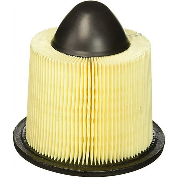 Motorcraft FA-1632-B3 Engine Air Filter For 1997-2008 Ford F150, 1997-2004 Ford Expedition