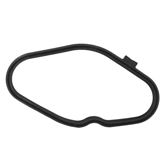 Motorcraft GASKET (P)