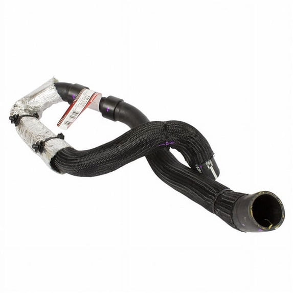 Motorcraft HOSE - RADIATOR (P)