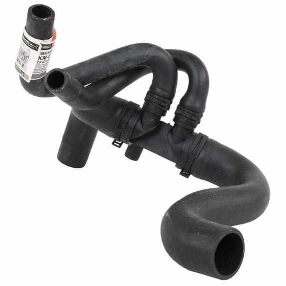 Motorcraft HOSE-RADIATOR (P)