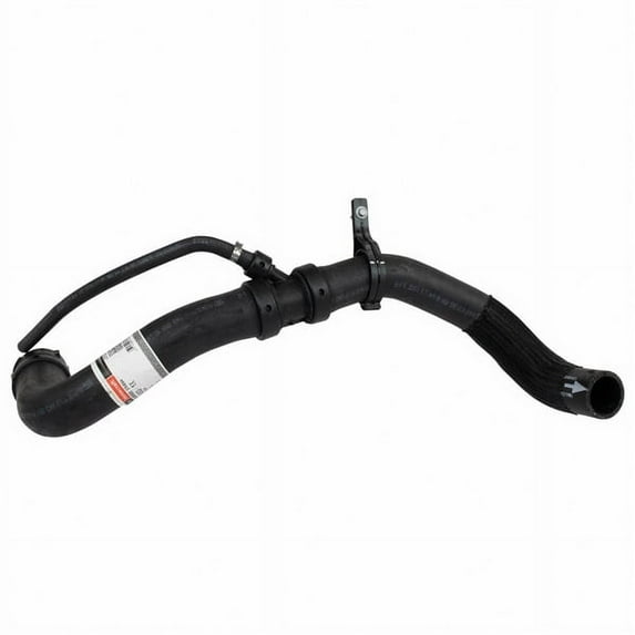 Motorcraft HOSE-RADIATOR (P)