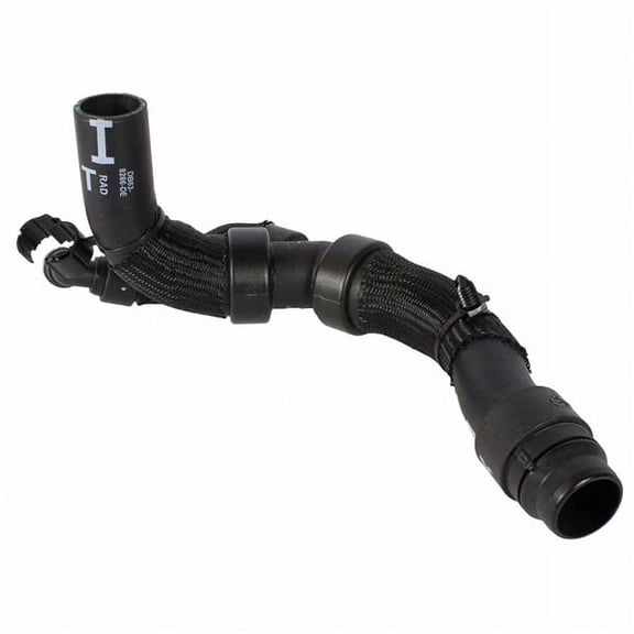 Motorcraft HOSE - RADIATOR (P)