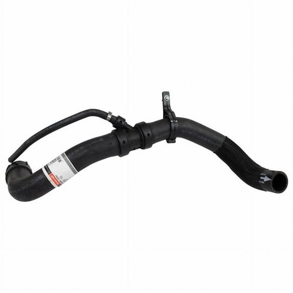 Motorcraft HOSE-RADIATOR (P)