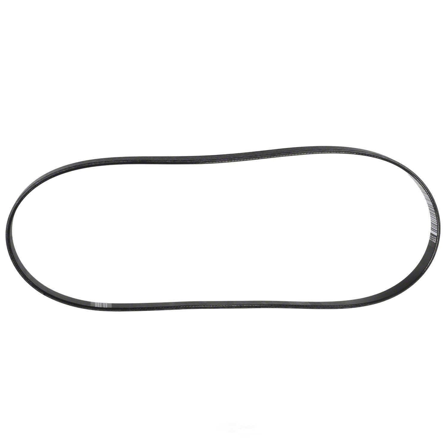Motorcraft JK-1345 Serpentine Belt