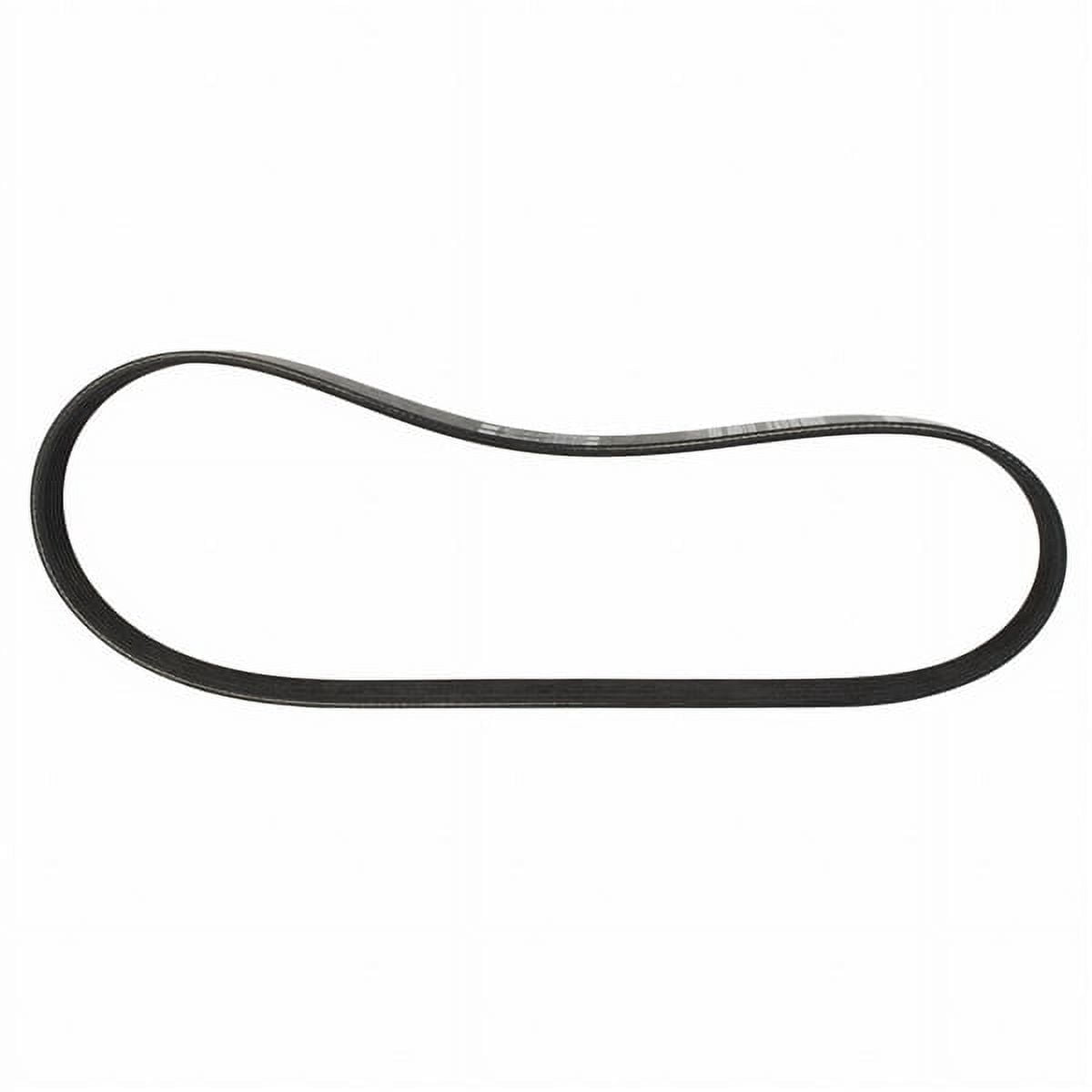 Motorcraft JK6-295 Serpentine Belt Fits select: 2018-2024 FORD MUSTANG