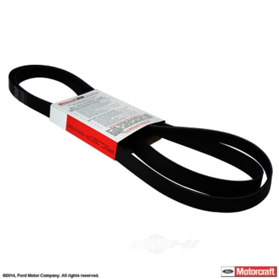 Motorcraft JK6-884-HA Automotive V-Ribbed Belt(Standard)