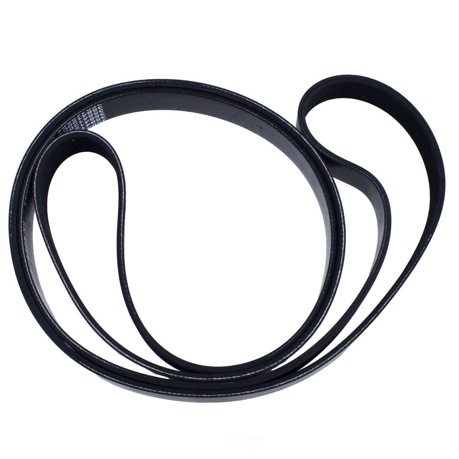 Motorcraft JK8-843 Serpentine Belt