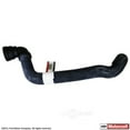 thumbnail image 1 of Motorcraft Molded Radiator Hose, 1 of 4