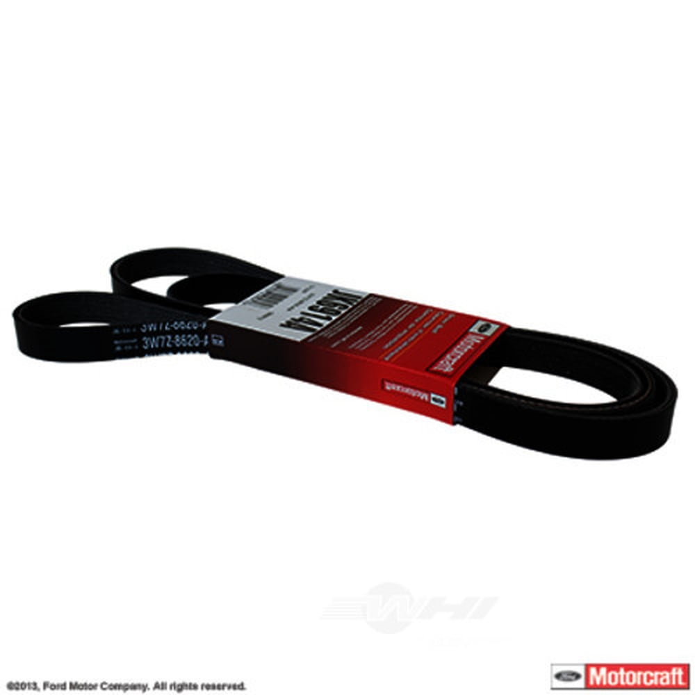 Motorcraft-Multi-Rib-