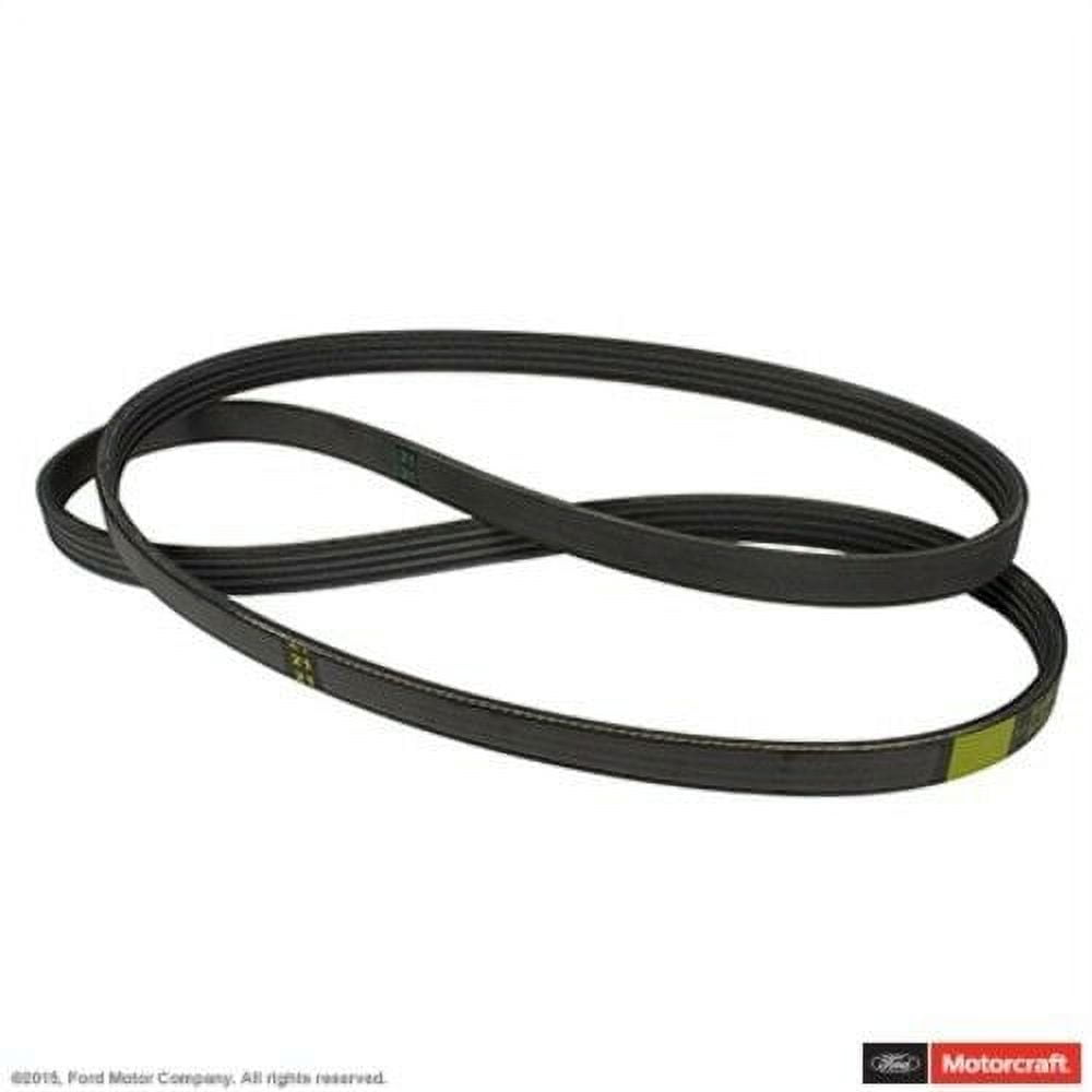 Motorcraft JK4-364-A Cinghia Serpentina - Ricambio Auto Originale Ford
