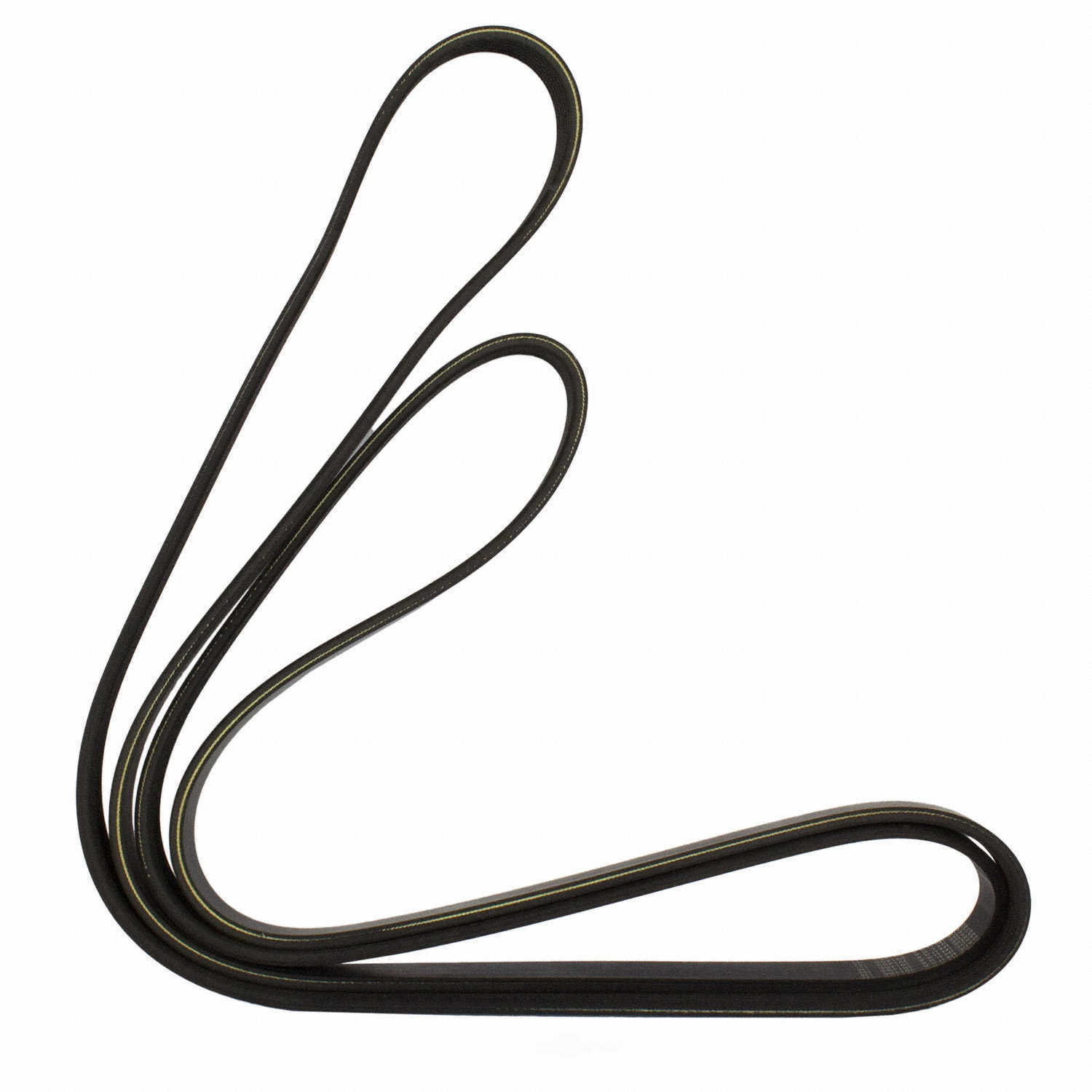 Motorcraft Serpentine Belt JK6-842-CB Fits select: 2000-2004 FORD FOCUS