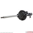 thumbnail image 1 of Motorcraft Suspension Strut Assembly AST-225 Fits select: 2005-2007 FORD ESCAPE, 2005 MAZDA TRIBUTE, 1 of 1