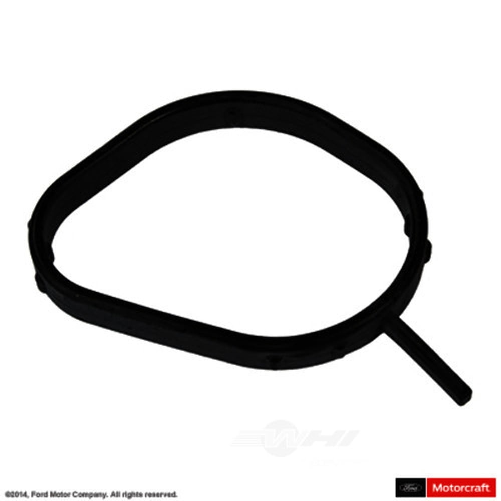 Motorcraft Thermostat Gasket Fits select: 2011-2019 FORD FIESTA