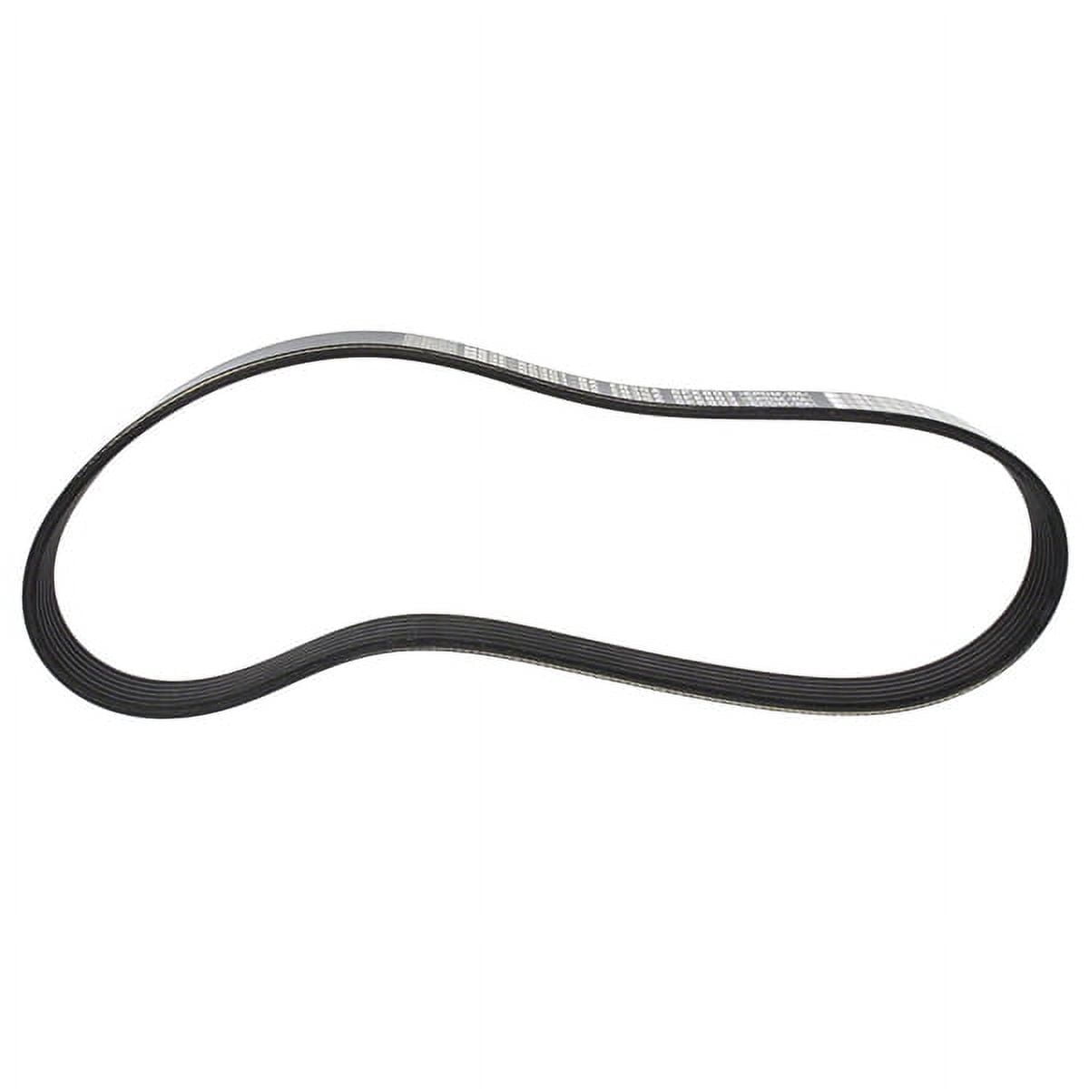 Motorcraft V-BELT (P)