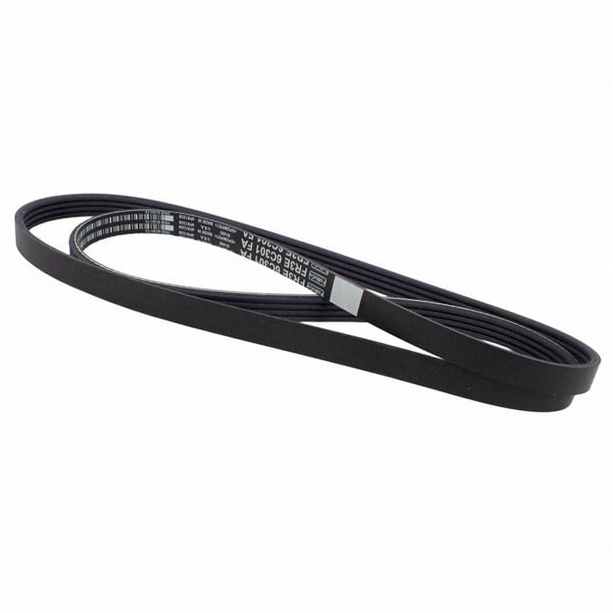Motorcraft V-BELT (P)