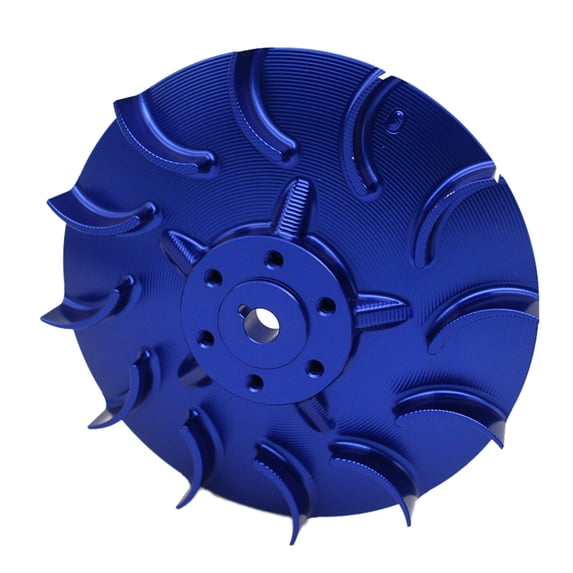 Motorcycle Fan Replaces Accessories for Primavera Blue
