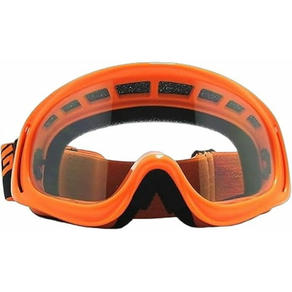 Motorcycle Goggle ATV Dirt Bike Off Road Racing Motocross Goggles for Men,Women, Adults