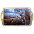 thumbnail image 1 of Motorhead Products 11 by 18-Inch Melamine Serving Tray, Featuring Wild Wings Licensed Art with Pheasants by David Maass, 1 of 1