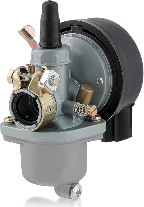 Motorized Bike Carburetor Fit for 2 Stroke 49cc 50cc 60cc 66cc 80cc ...