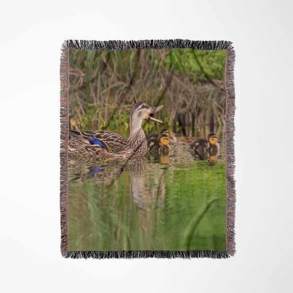 Mottled Duck, Anas Fulvigula, Hen And Young Feeding, Woven Blanket