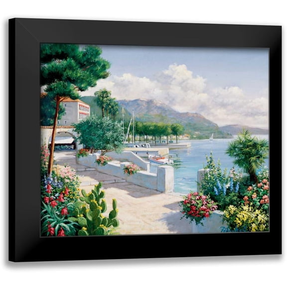 Motz, Peter 14x12 Black Modern Framed Museum Art Print Titled - Costa del Pietro II