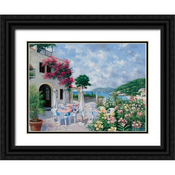 Motz, Peter 18x15 Black Ornate Wood Framed with Double Matting Museum Art Print Titled - Ocean terrace