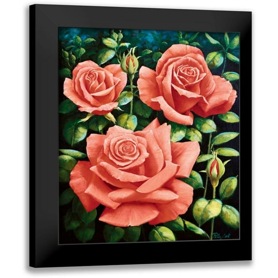 Motz, Peter 20x23 Black Modern Framed Museum Art Print Titled - Roses