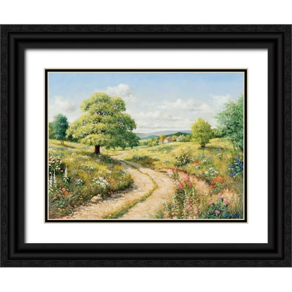 Motz, Peter 32x25 Black Ornate Wood Framed with Double Matting Museum Art Print Titled - A path to peace