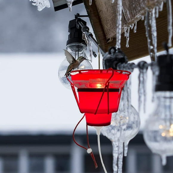Hummingbird Feeder Heater