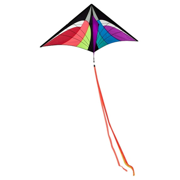 Mouliraty Kites For Kids Kites For The Beach Huge Kite For Kids Colorful Kite Beach Kite With Long Tail Kites For Kids Adults