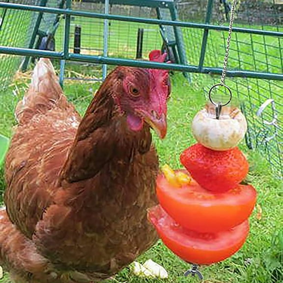 Mouliraty Stainless Steel Chicken Food Vegetable Fruit Hanging Feeder Toy