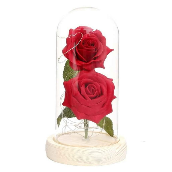Mouliraty Valentine's Day Women Gifts, Crystal Light Up Eternal Rose in Glass Dome, Gifts for Her, Wife, Grandma, Anniversary Wedding Valentine's Day Gift